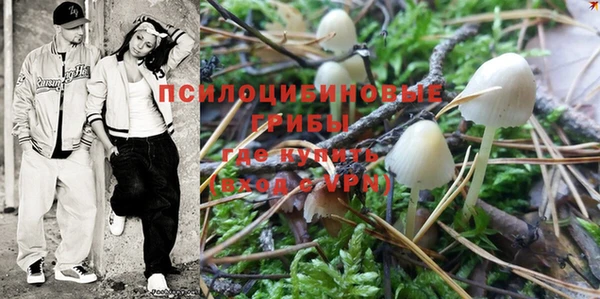 хмурый Алексин