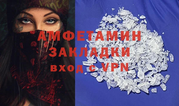 хмурый Алексин