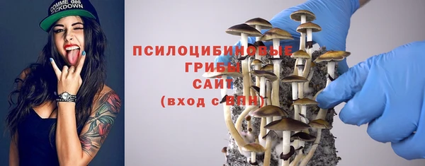 хмурый Алексин