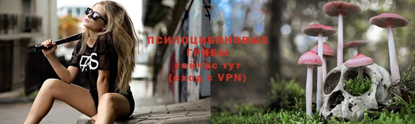 стафф Алексеевка