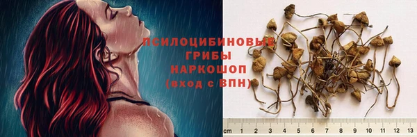 стафф Алексеевка