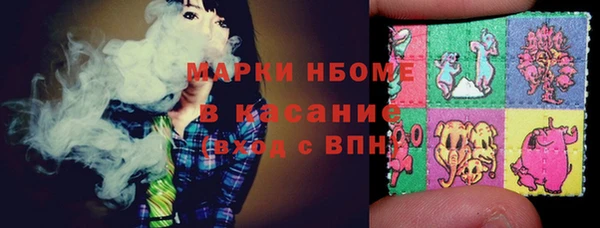 хмурый Алексин